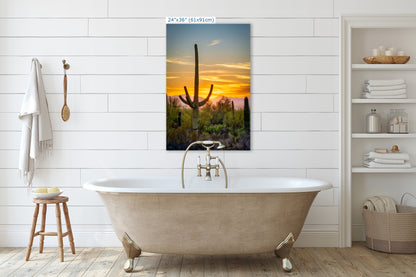 Saguaro National Park Arizona Desert Picture Nature Photo, Bohemian Style Relaxation Artwork, Southwestern Sonoran Desert House Decor