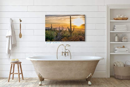 Saguaro National Park Arizona Desert Picture Sunset Nature Photo, Bohemian Style Relaxation Artwork, Southwestern Sonoran Desert House Decor