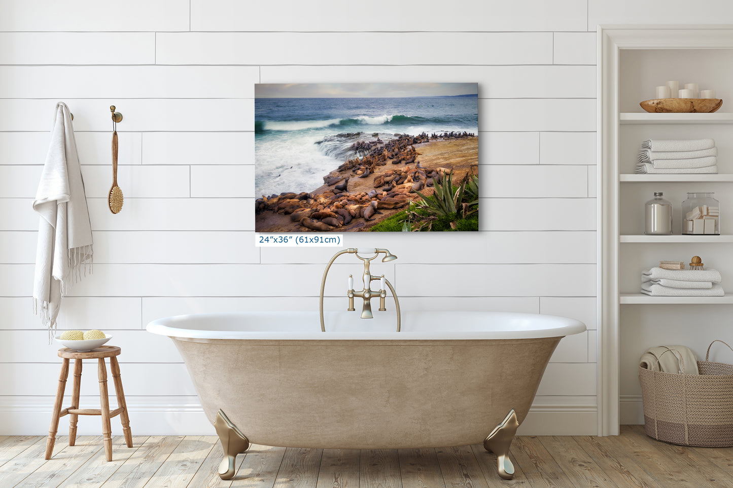 California Sea Lion Marine Mammal Wildlife Photography | Calming Nature Ocean Picture, Relaxation Artwork, La Jolla Coast, Nature Photo