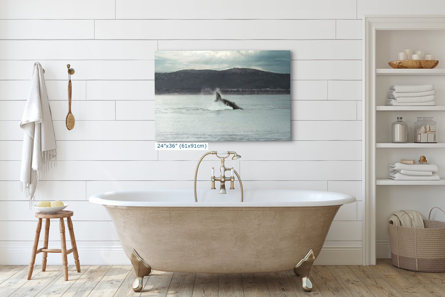 Humpback Whale Marine Mammal Wildlife Photography, Ocean Nature Art, Marine Conservation, Dolphin & Sea Life Gift, House Decor