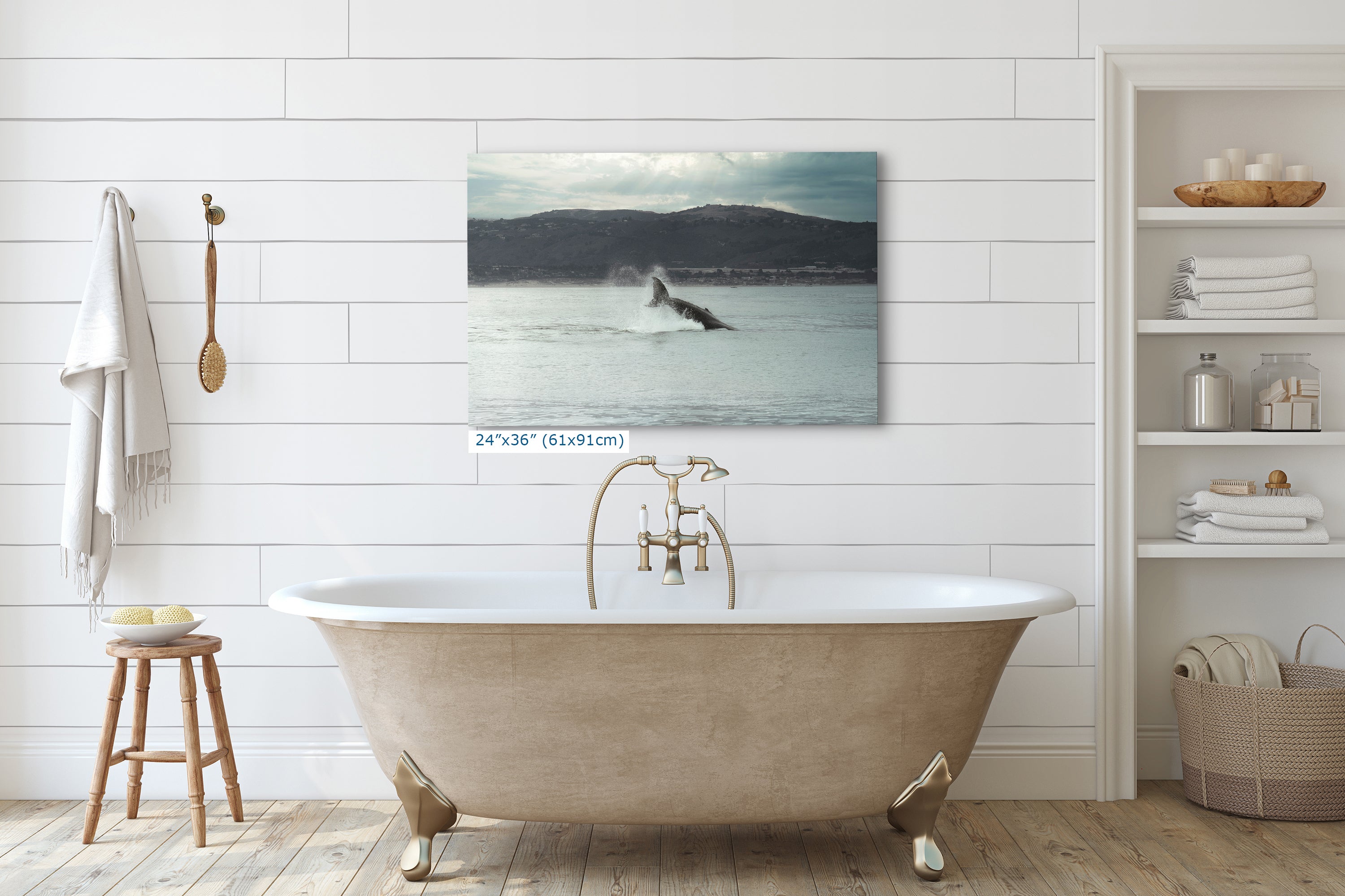 Humpback Whale Marine Mammal Wildlife Photography, Ocean Nature Art, Marine Conservation, Dolphin & Sea Life Gift, House Decor