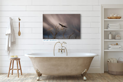 Soaring Bald Eagle Picture Wildlife Photography Wall Art, Nature Photo, Bird Photography, Rustic Cabin Decor, Office or Dorm Room Wall Decor