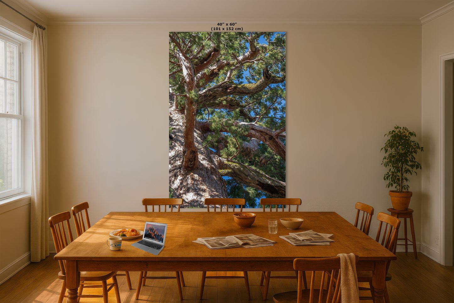 Giant Sequoia Tree Forest Picture Nature Photo, Yosemite Mariposa Grove Redwood Trees, Forest Bathing Relaxation Artwork for Nature Lovers