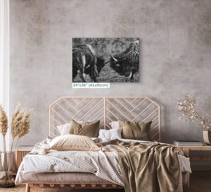 Buffalo Artwork Wildlife Photography, Black and White Bison Wall Decor, Rustic Cabin Animal Print, Nature Wall Art for Home or Office