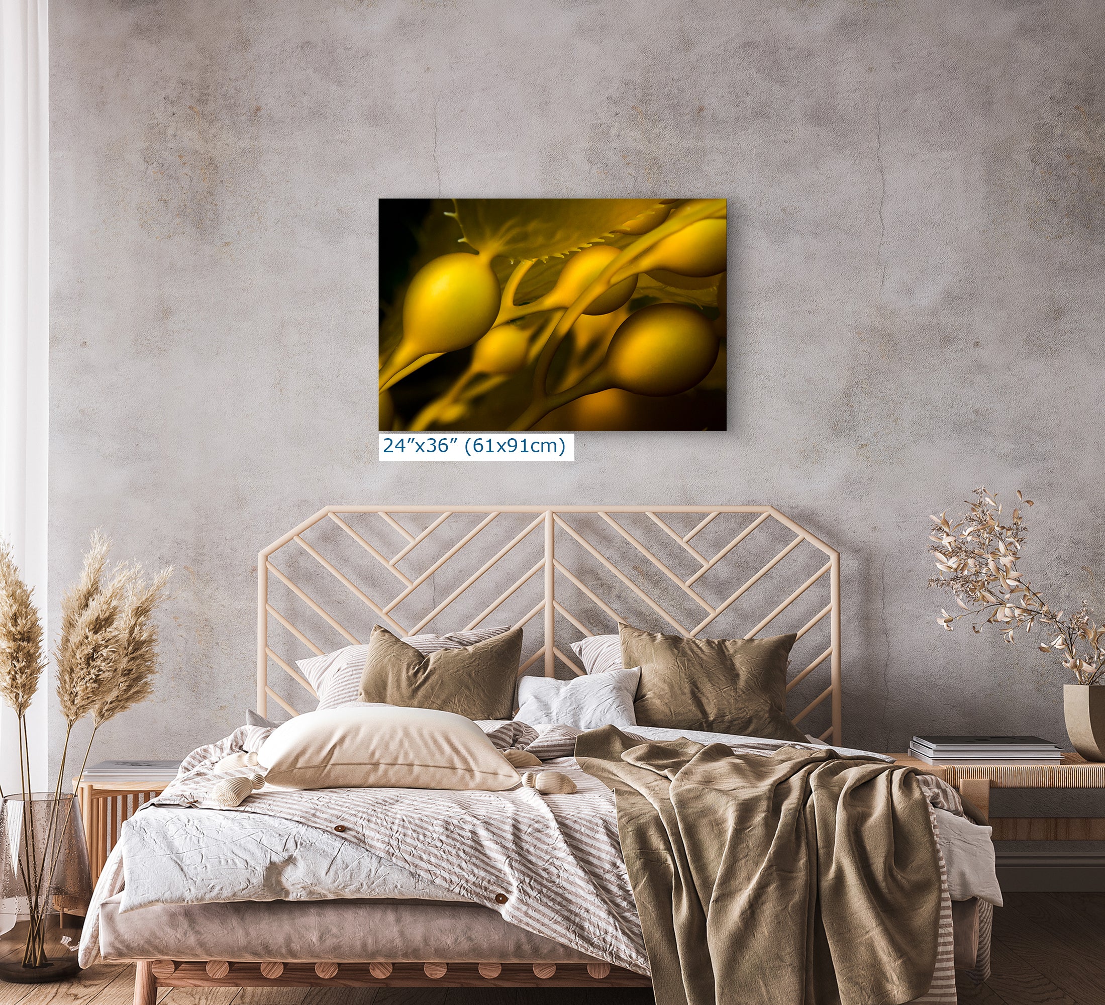 Kelp Forest Seaweed Pictures Underwater Scenery, Ocean Life Marine Biology Nature Photo Relaxation Artwork Decor for Office Dorm Room Decor