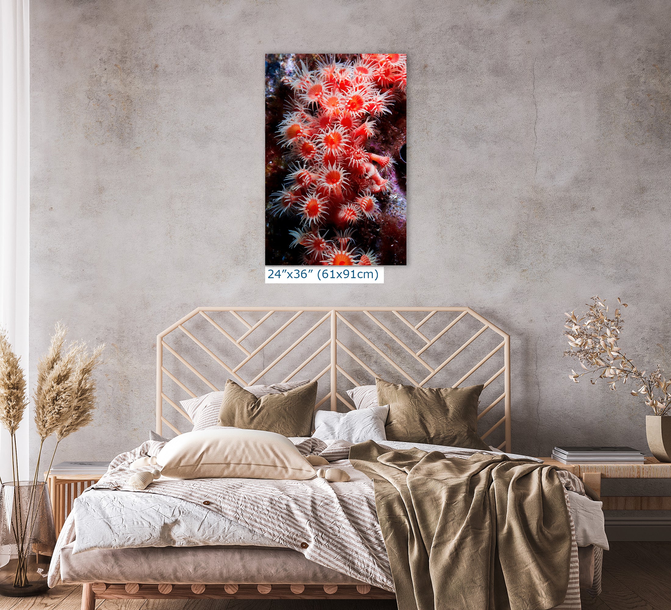 Sea Anemone Picture Ocean Life Underwater Scenery Nature Photo, Marine Biology Wall Art, Coral Reef Decor, Office & Dorm Room Decoration