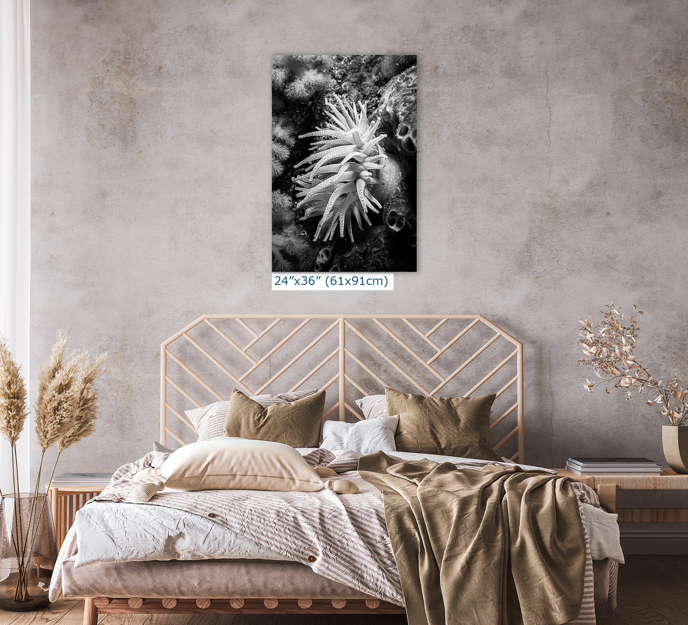 Sea Anemone Picture Ocean Life Underwater Scenery Nature Photo Black and White Art for Marine Biology, Ocean Lovers, and Relaxation Decor