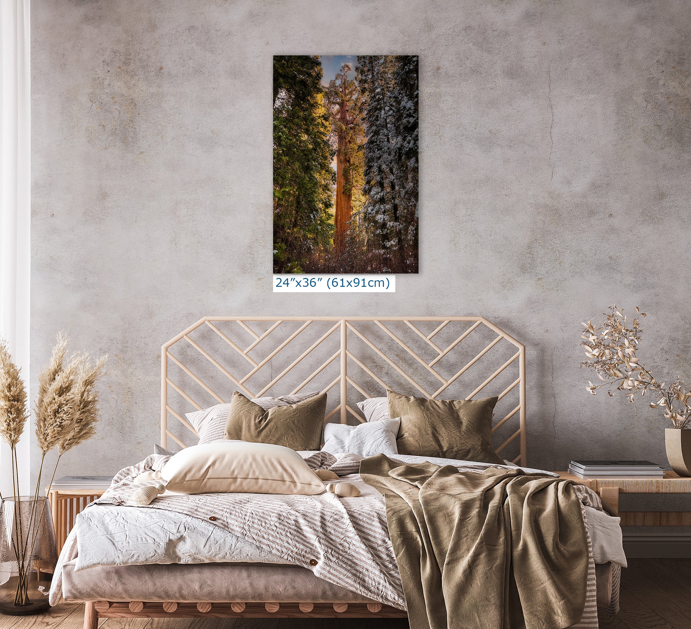 Giant Sequoia Tree Forest Picture Nature Photo, Redwood Tree Wall Art, Forest Bathing Decor, Bohemian Style Relaxation Artwork