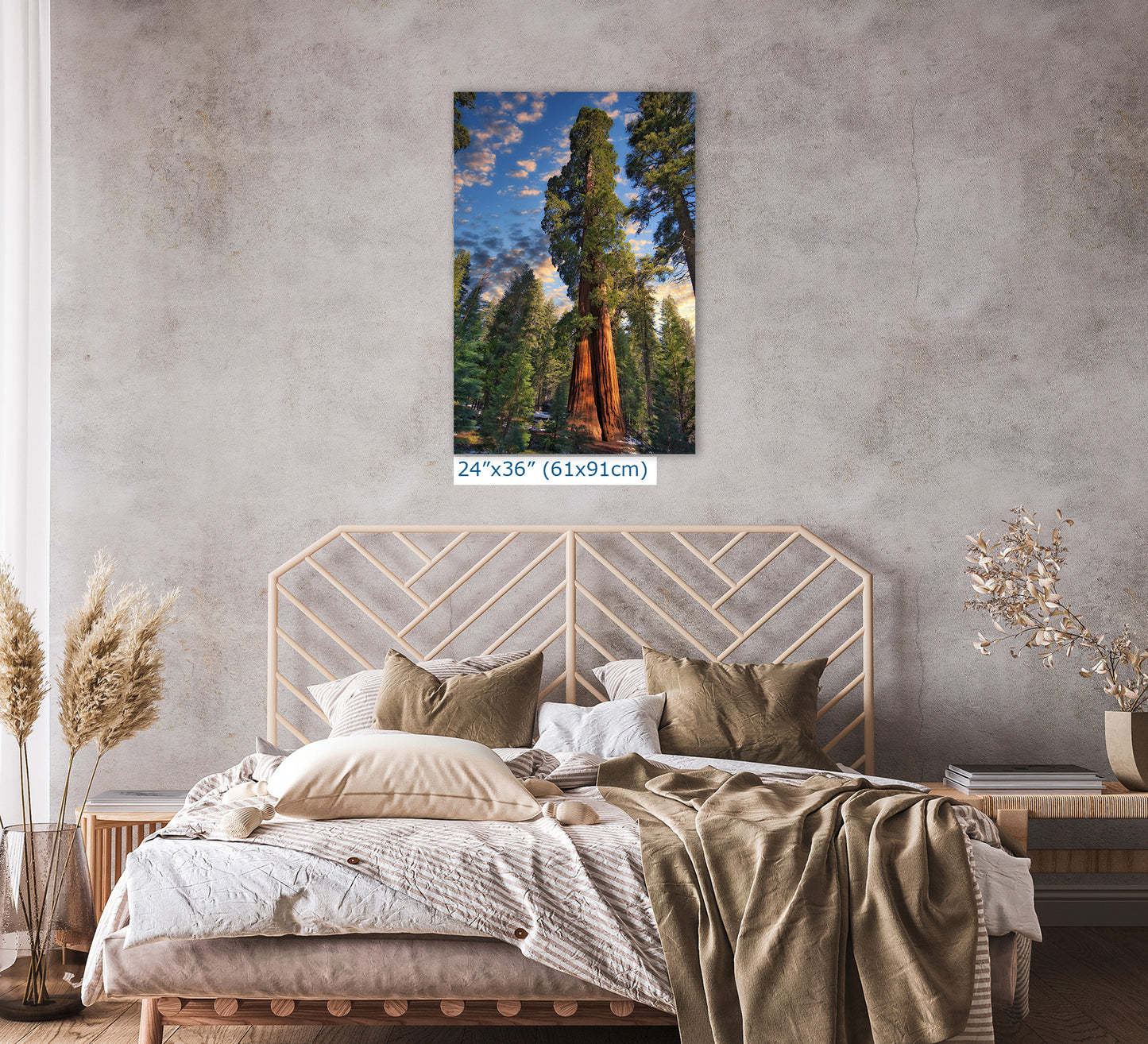 Giant Sequoia Tree Art, Redwood Forest Picture, Nature Photo Inspired Wall Decor