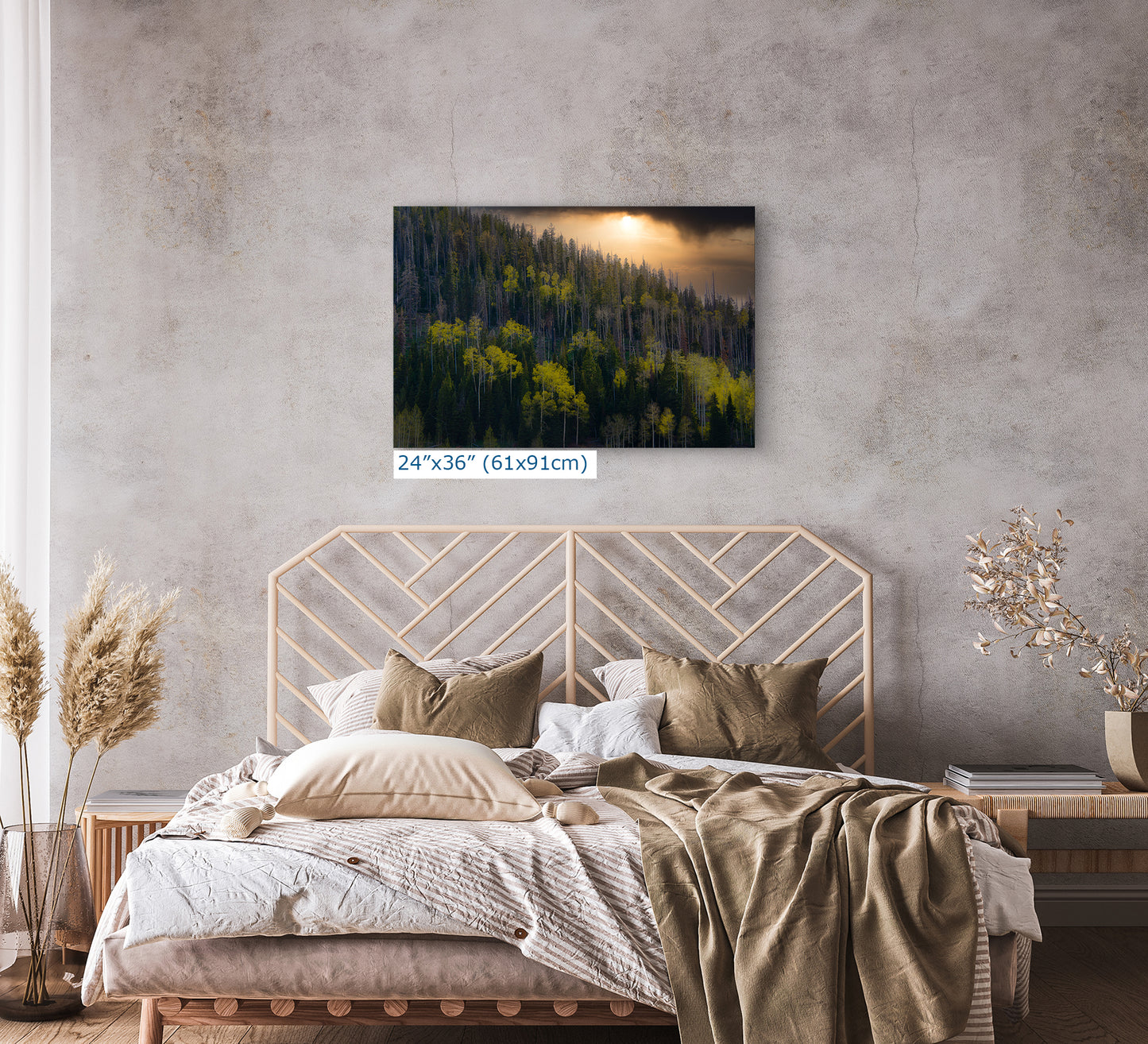 Aspen Tree Forest Picture Nature Photo, Forest Bathing Relaxation Artwork Dopamine Decor for Meditation, Bedroom, Living Room, and Office