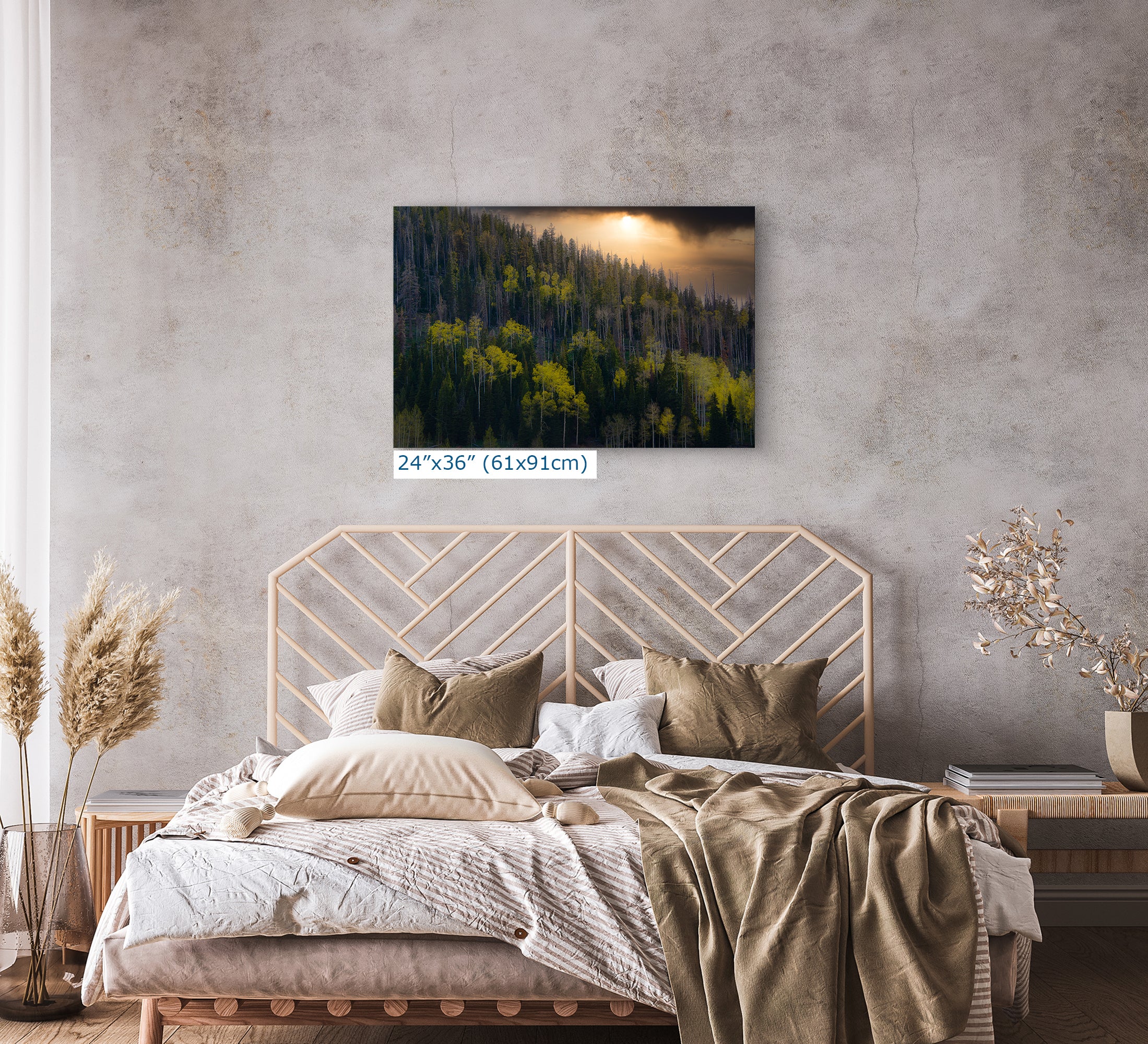 Aspen Tree Forest Picture Nature Photo, Forest Bathing Relaxation Artwork Dopamine Decor for Meditation, Bedroom, Living Room, and Office