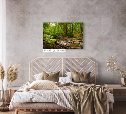 Redwood Trees Forest Picture Nature Photo, Forest Bathing in Santa Cruz California Coast Wall Art, Relaxing Artwork for House Decor & Office