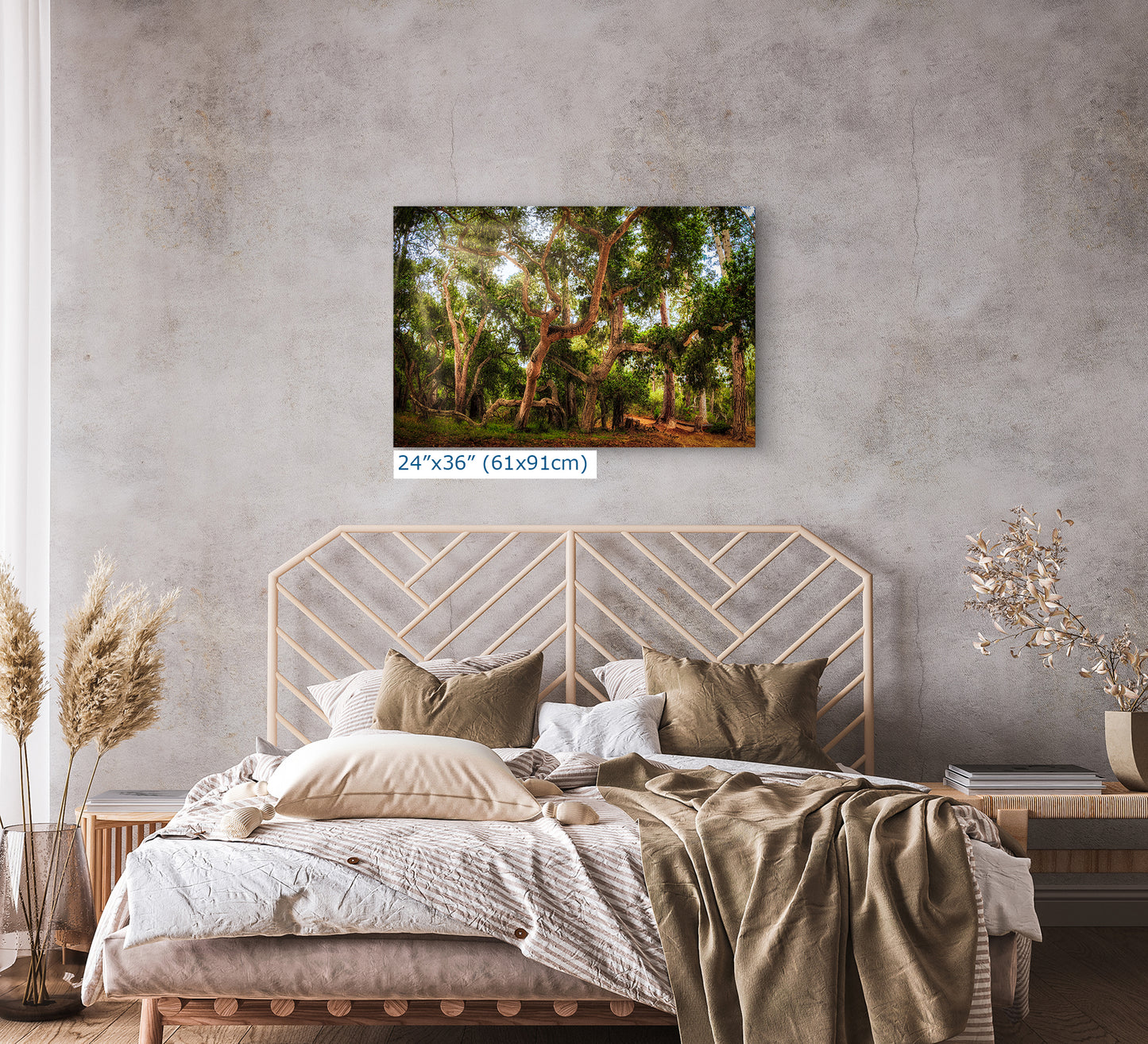 Coast Live Oak Forest Picture Nature Photo House Decor, Forest Bathing for Meditation, Relaxation, Dorm Room Decor