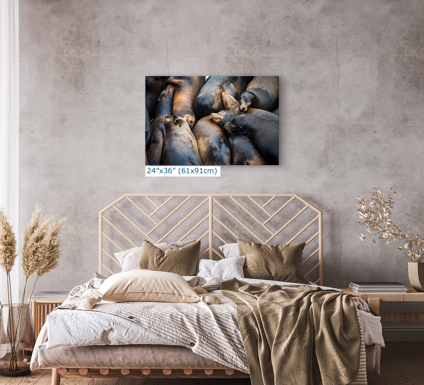 California Sea Lion Marine Mammal Wildlife Photography, Ocean Animals Nursery Decor, Relaxation Artwork for Beach-Themed Rooms