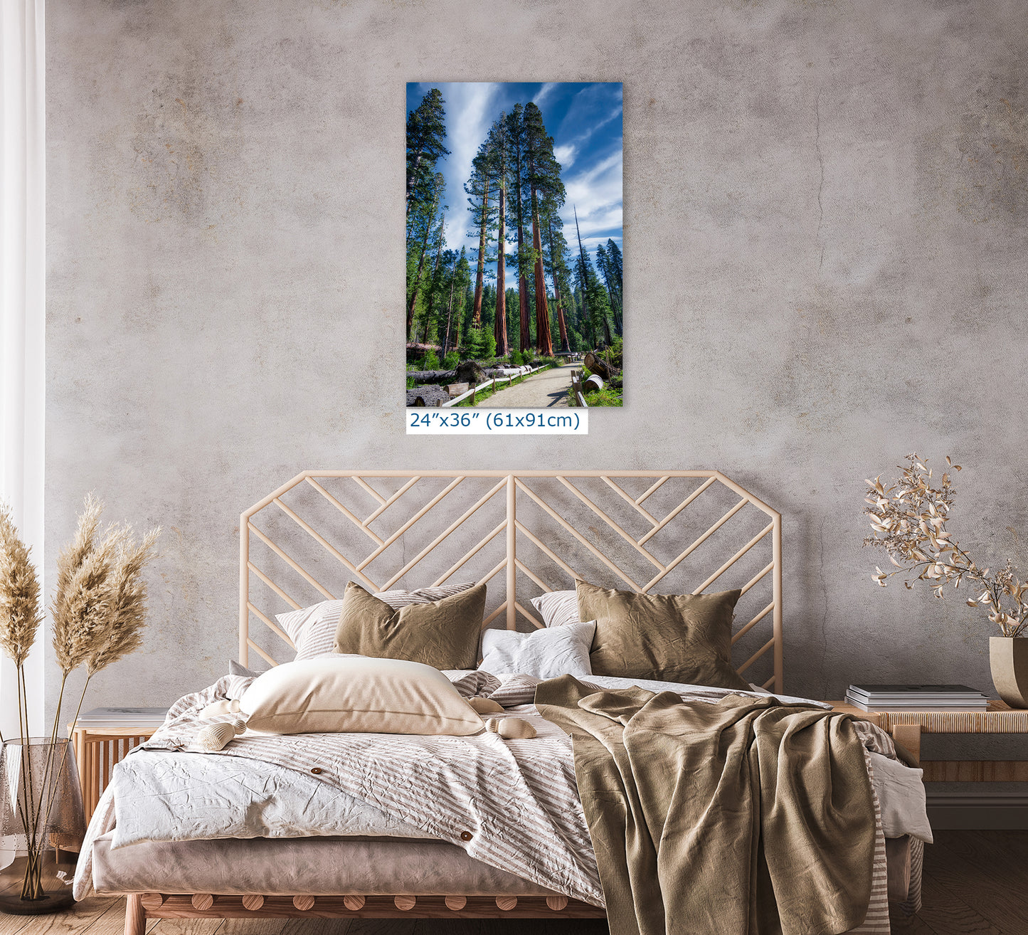 Giant Sequoia Tree Forest Picture Nature Photo, Redwood Trees Forest Bathing Decor, Relaxation Artwork for Home or Office