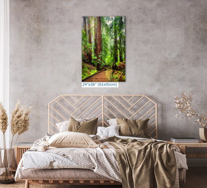 Redwood Trees Forest Picture Sunrise Nature Photo, Forest Bathing House Decor, Relaxing Wall Art for Meditation, Home and Office