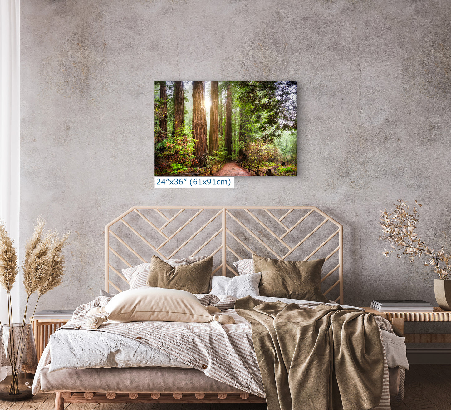 Redwood Trees Forest Picture Nature Photo, Forest Bathing in Muir Woods Wall Art for House Decor Gifts for Tree & Nature Lovers