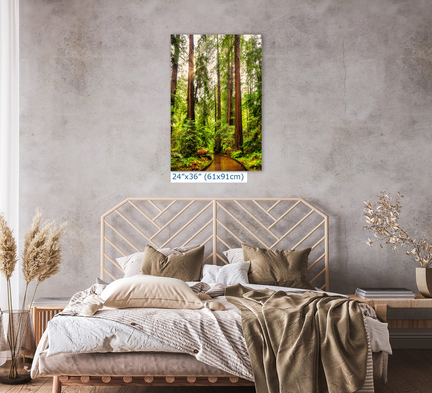 Redwood Trees Forest Picture Nature Photo, Forest Bathing House Decor, Relaxing Wall Art for Meditation, Home and Office