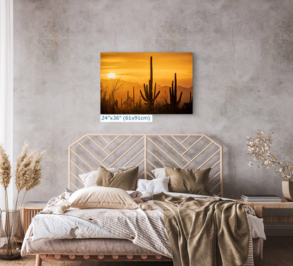 Saguaro National Park Arizona Desert Picture Nature Photo Silhouette, Bohemian Style Relaxation Artwork, Southwestern Sonoran Desert House Decor