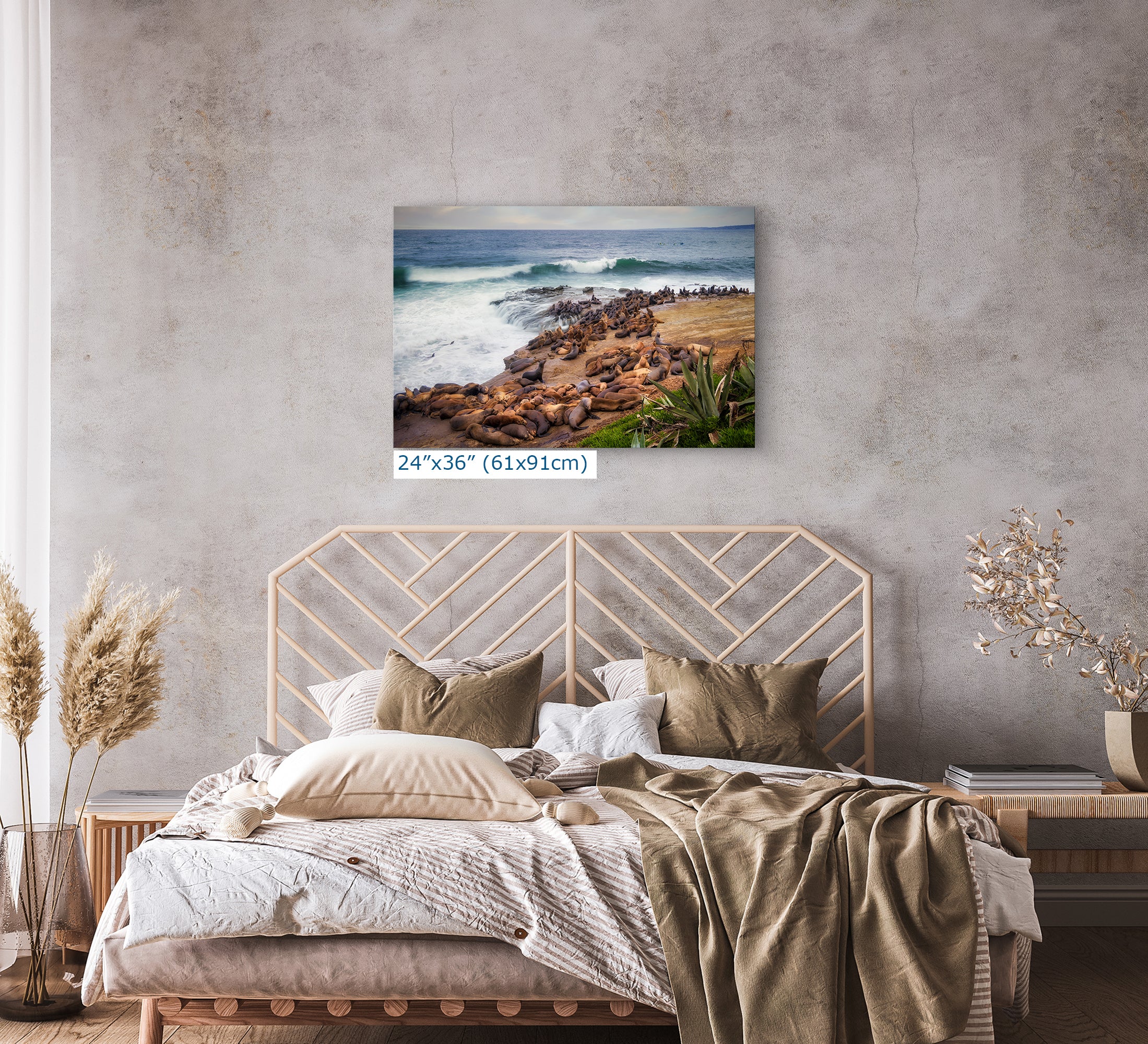 California Sea Lion Marine Mammal Wildlife Photography | Calming Nature Ocean Picture, Relaxation Artwork, La Jolla Coast, Nature Photo