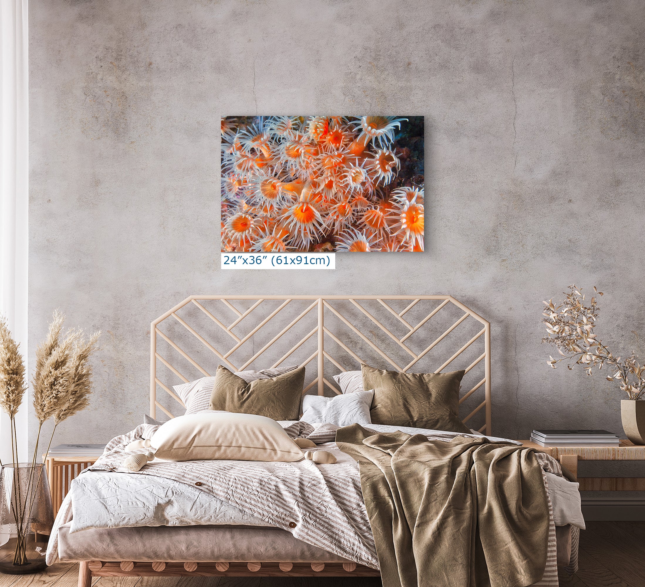 Sea Anemone Picture Ocean Life Underwater Scenery Nature Photo, Vibrant Coral Reef Wall Art, Marine Biology Gift for Ocean Lover