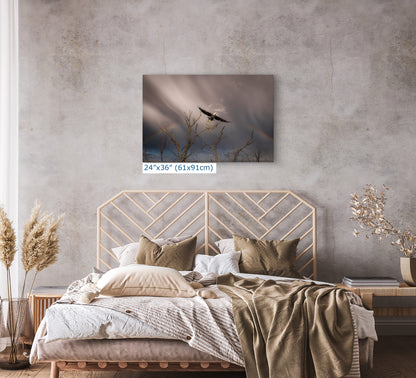 Soaring Bald Eagle Picture Wildlife Photography Wall Art, Nature Photo, Bird Photography, Rustic Cabin Decor, Office or Dorm Room Wall Decor