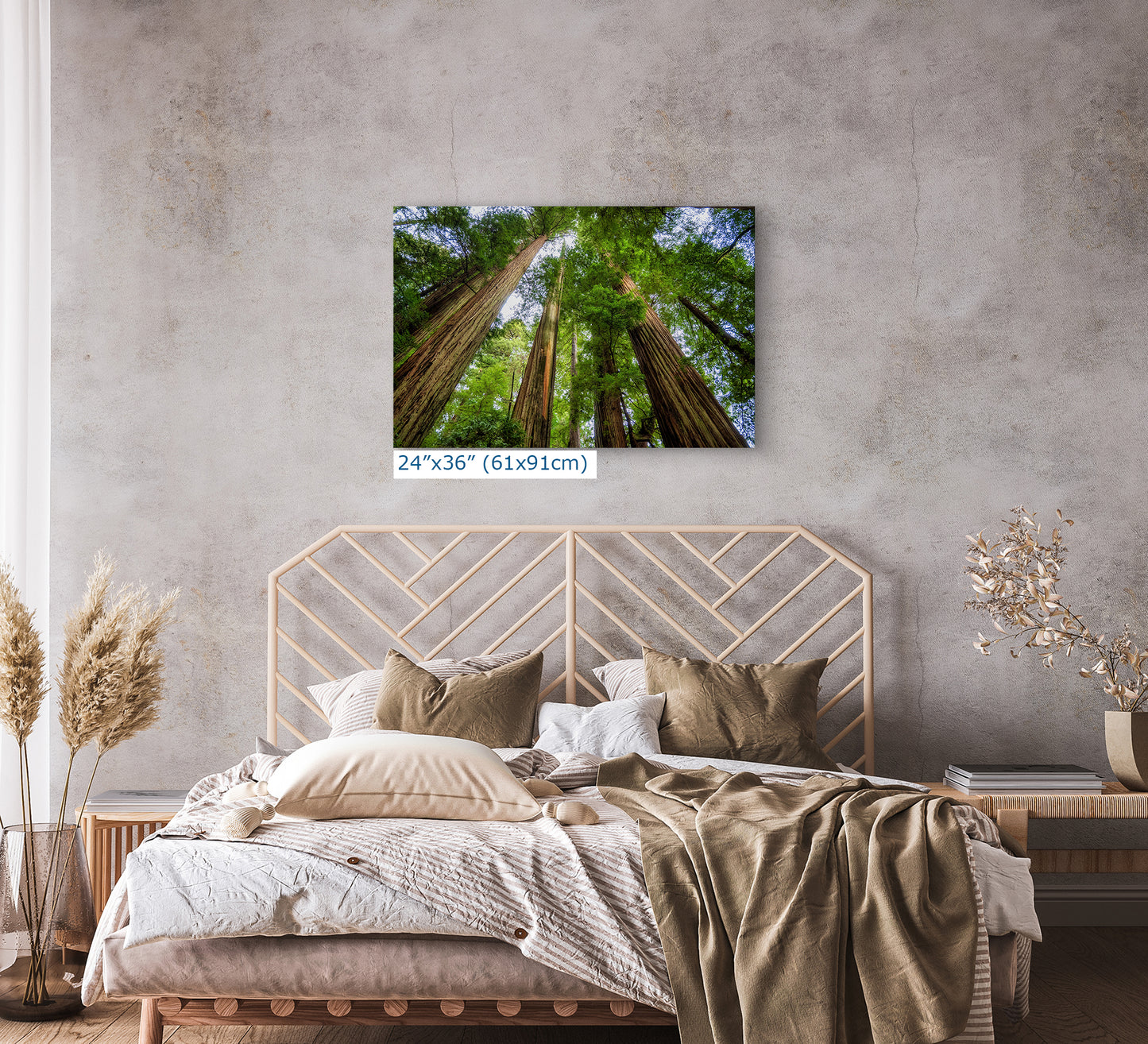 Redwood Trees Forest Picture Nature Photo | Forest Bathing Relaxation Decor for Meditation, House, and Office