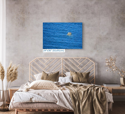 Seal Print Marine Mammal Wildlife Photography, Ocean Picture Relaxation Artwork Nature Photo