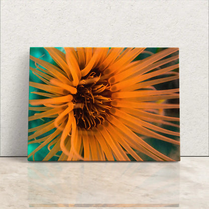 Sea Life Wall Art, Vibrant Orange Anemone Underwater Photography, Great Gift for the Ocean Lover