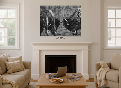 Buffalo Artwork Wildlife Photography, Black and White Bison Wall Decor, Rustic Cabin Animal Print, Nature Wall Art for Home or Office