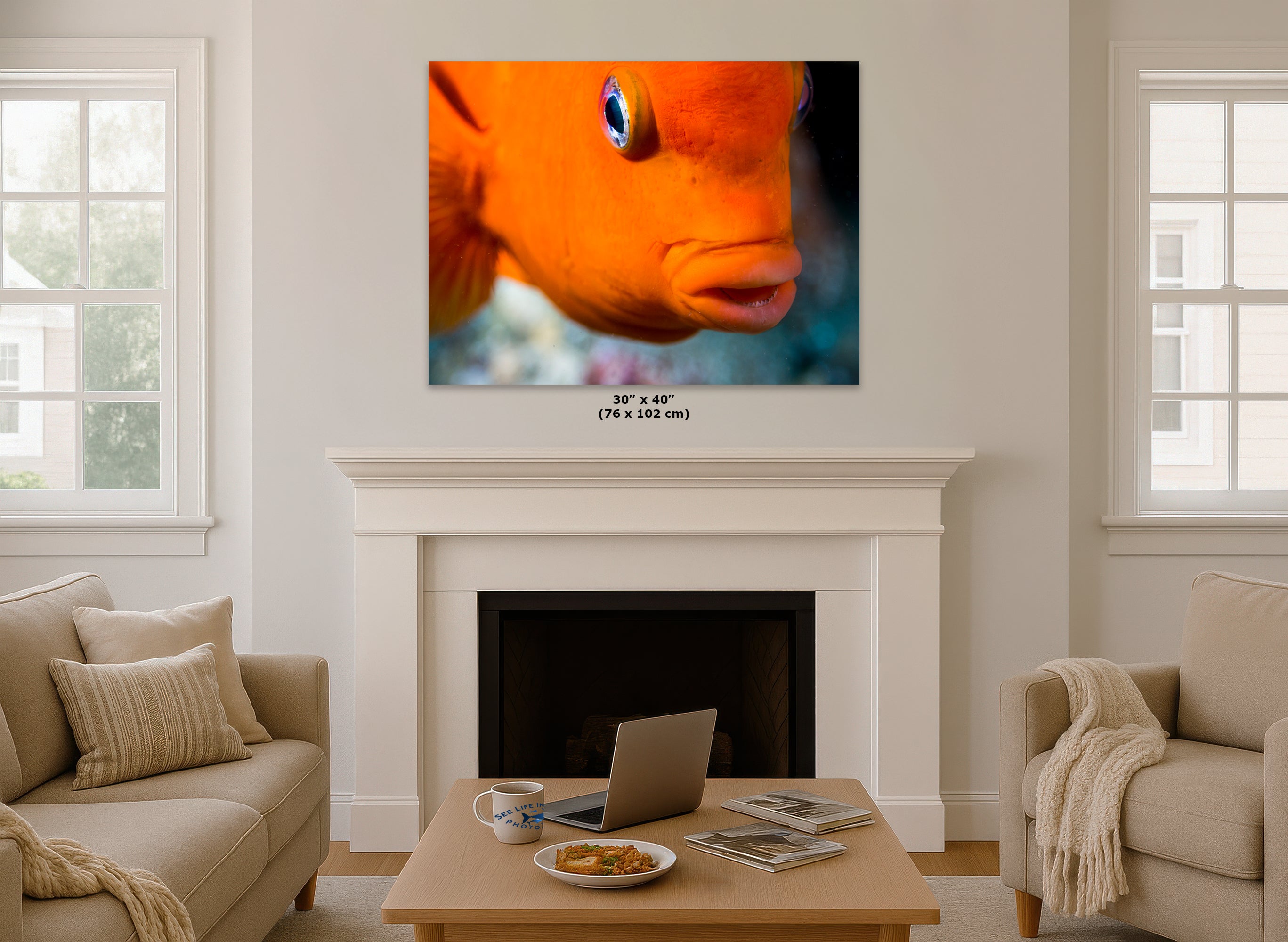 Garibaldi Fish Marine Biology Ocean Life, Underwater Scenery Nature Photo, California Marine Inhabitant, Nature Decor, Relaxation Artwork