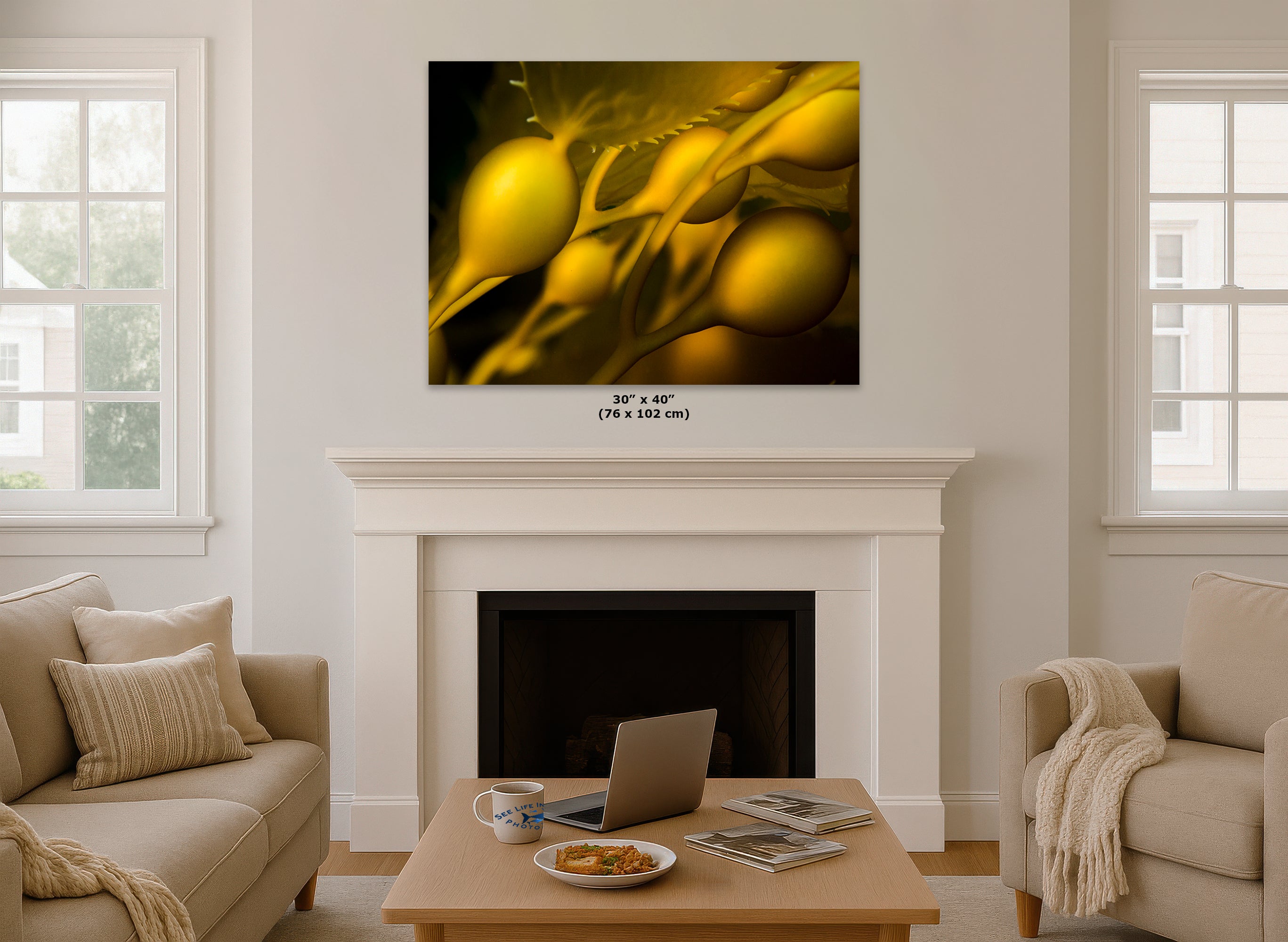Kelp Forest Seaweed Pictures Underwater Scenery, Ocean Life Marine Biology Nature Photo Relaxation Artwork Decor for Office Dorm Room Decor