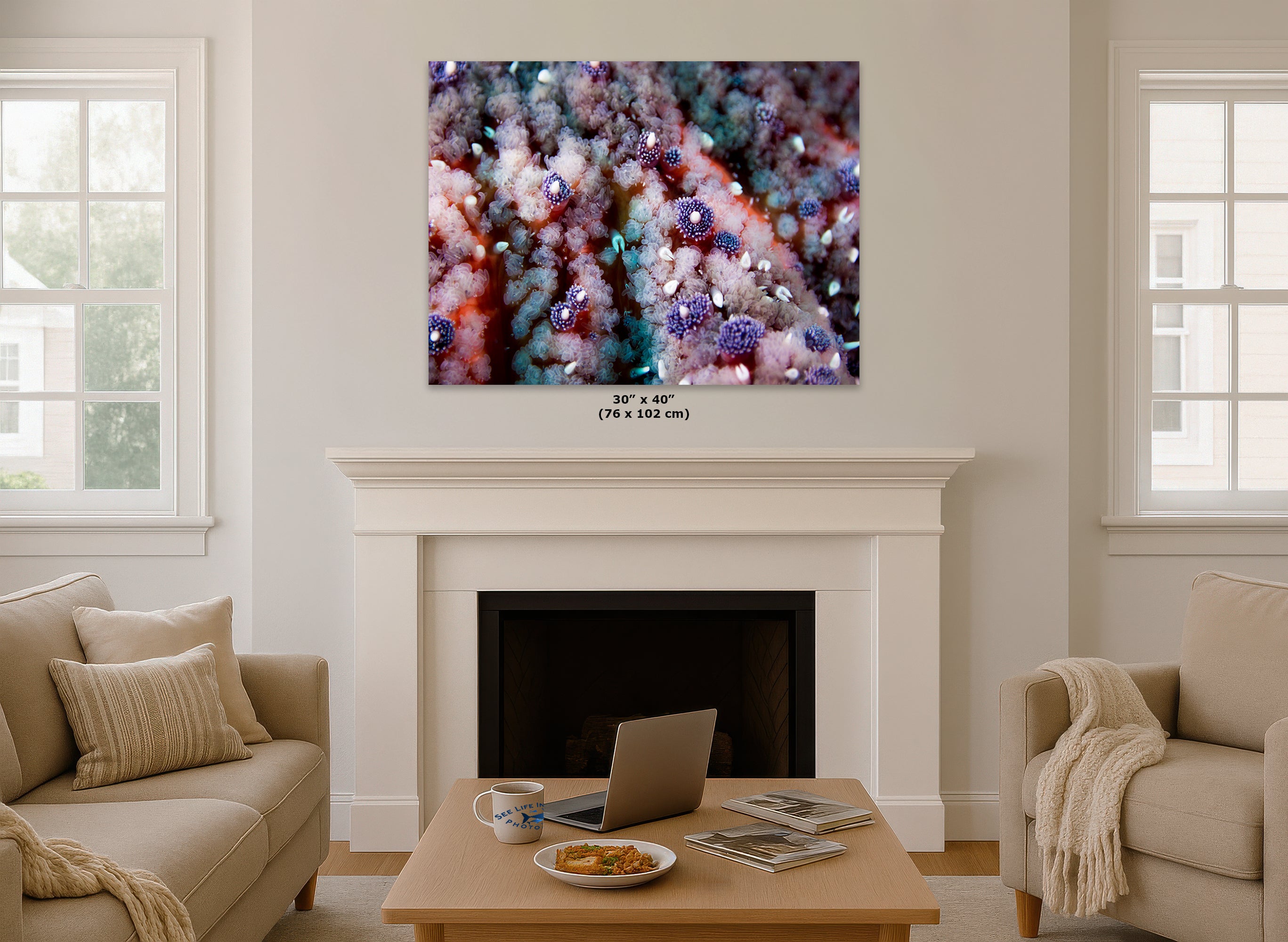 Ocean Life Starfish Photo, Marine Biology Underwater Scenery, Vibrant Coral Reef, Nature Photography for Office Decor, Relaxation Artwork