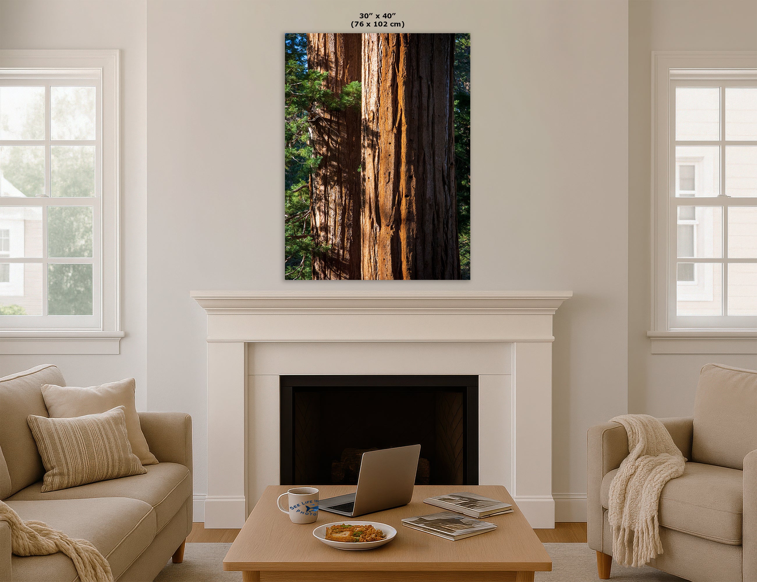 Giant Sequoia Tree Forest Picture Nature Photo, Redwood Trees Wall Art, Forest Bathing National Park Poster, Relaxation Decor