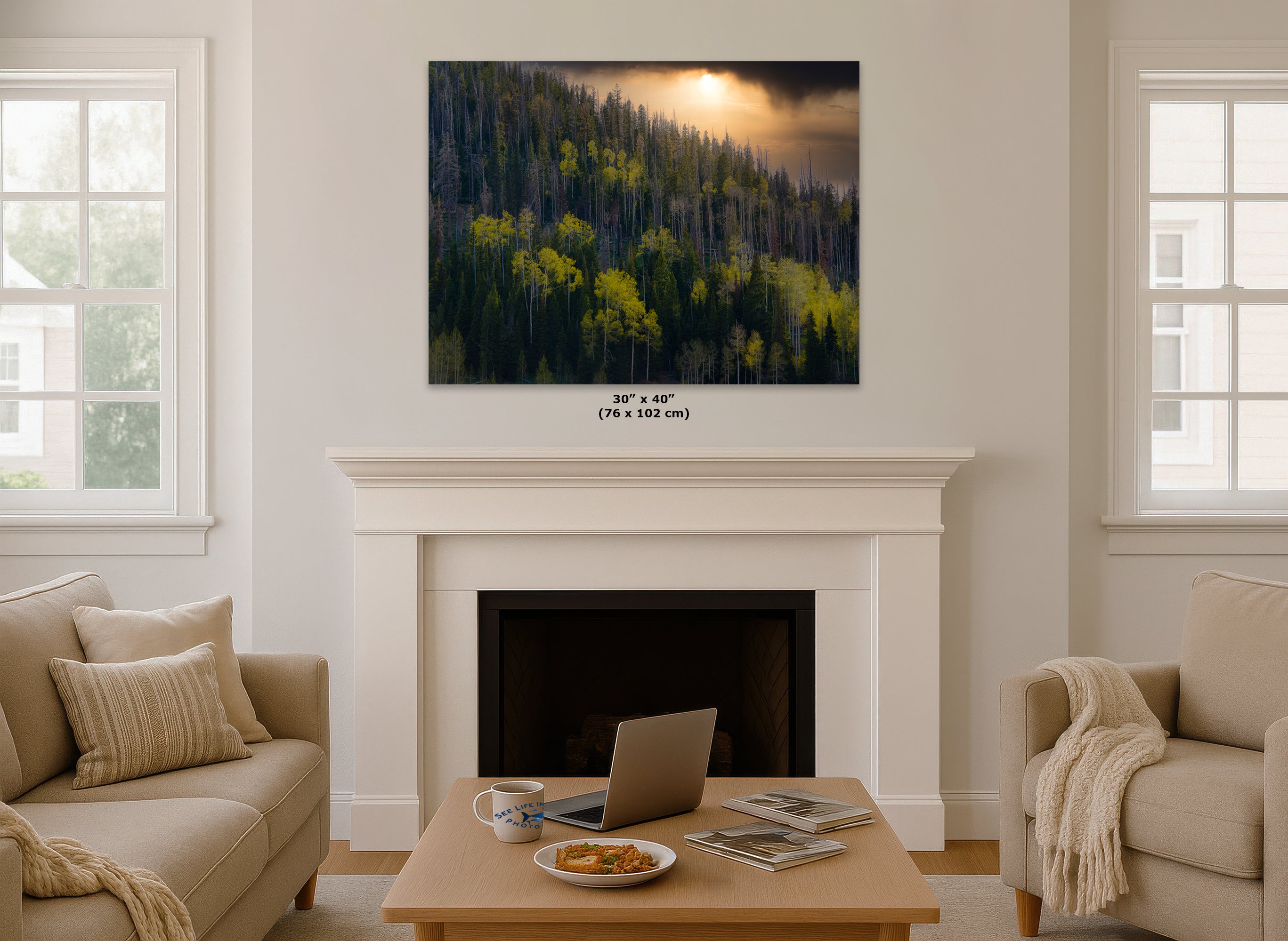 Aspen Tree Forest Picture Nature Photo, Forest Bathing Relaxation Artwork Dopamine Decor for Meditation, Bedroom, Living Room, and Office