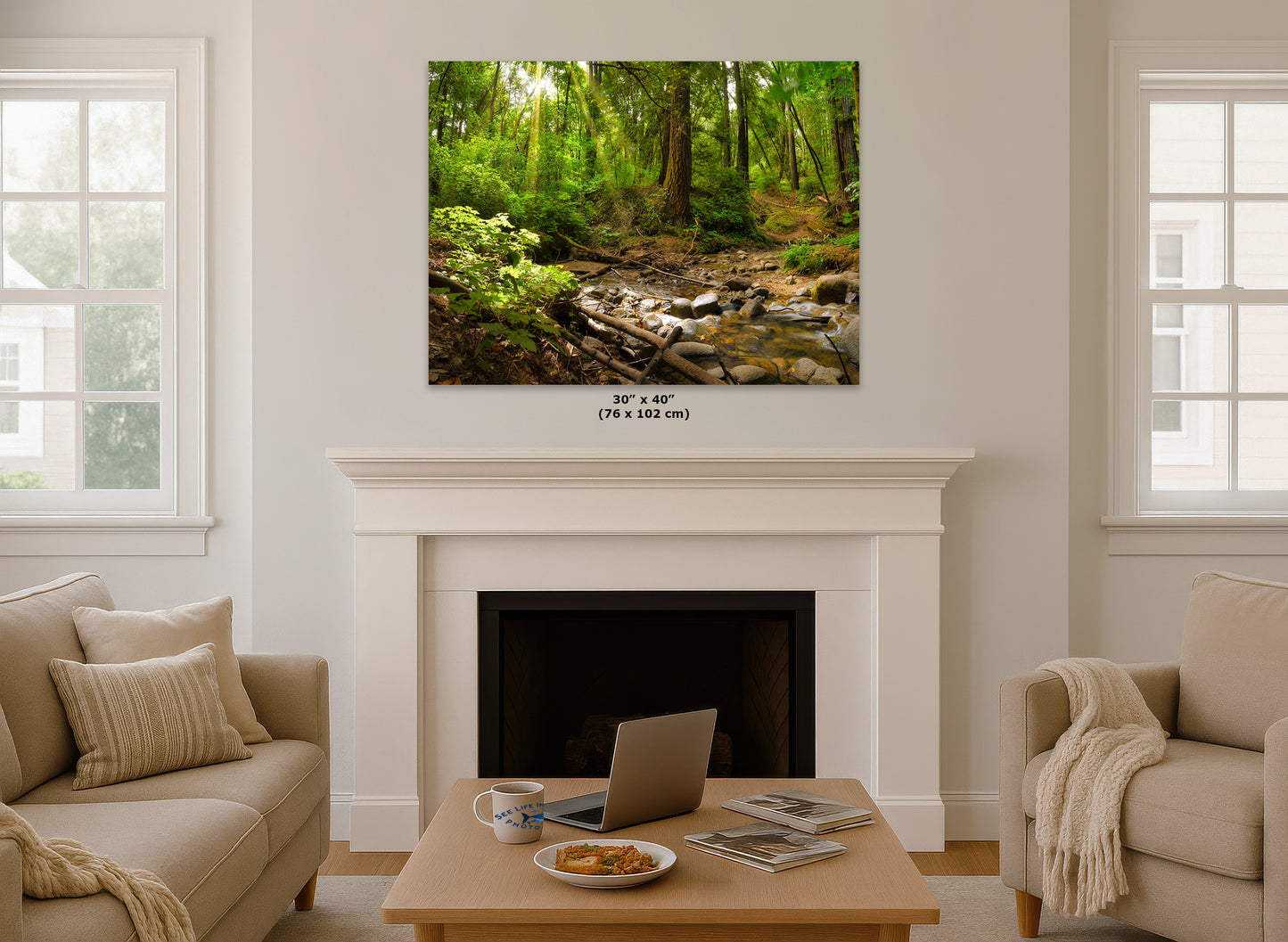 Redwood Trees Forest Picture Nature Photo, Forest Bathing in Santa Cruz California Coast Wall Art, Relaxing Artwork for House Decor & Office