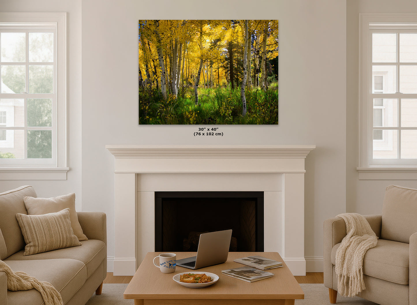Aspen Tree Forest Picture Nature Photo, Forest Bathing Relaxation Artwork, Fall Colors Autumn for Meditation, Office and House Decor