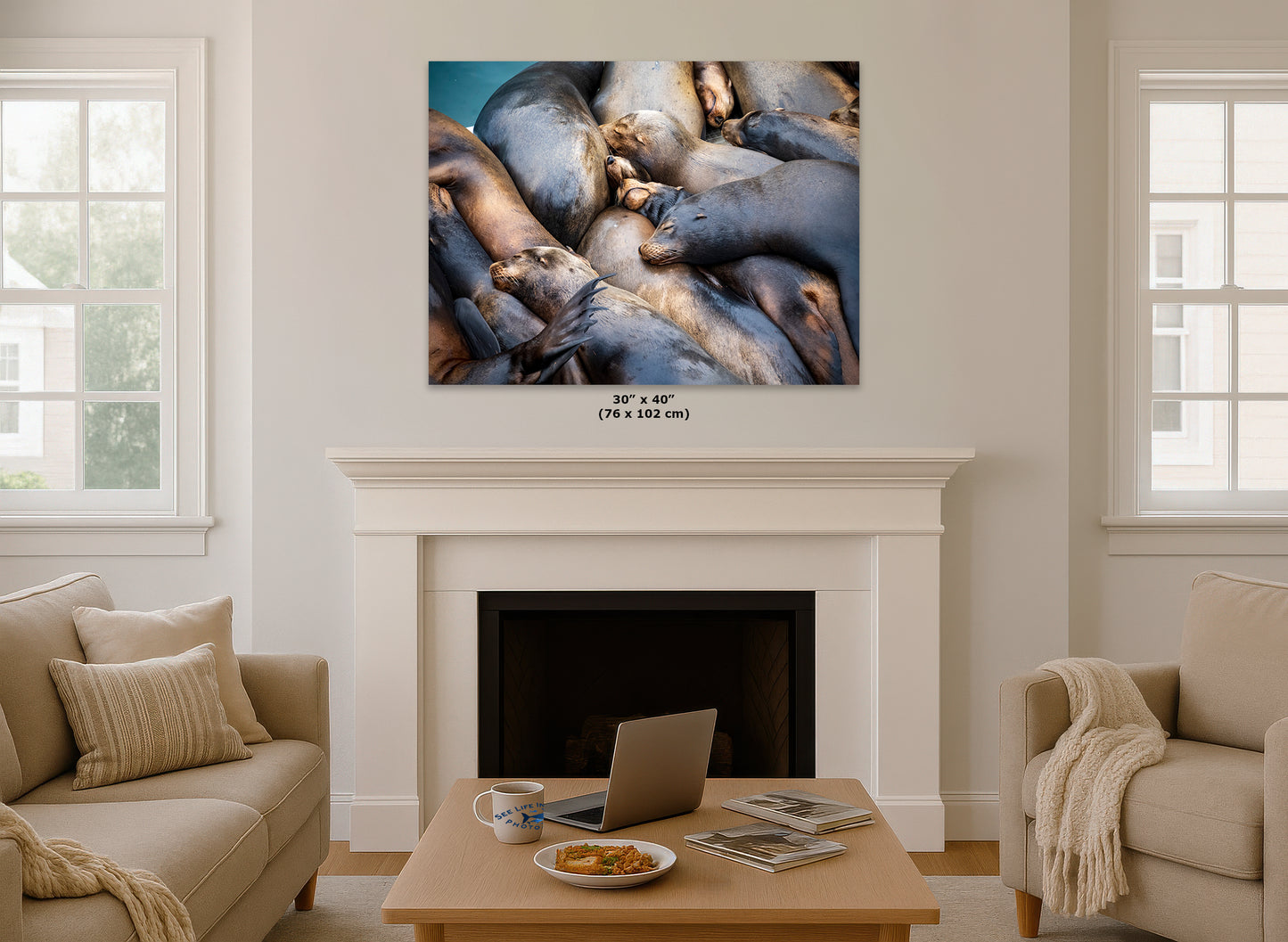 California Sea Lion Marine Mammal Wildlife Photography Wall Art - Ocean Animals Nursery Decor Coastal Home Artwork, Marine Biology Print