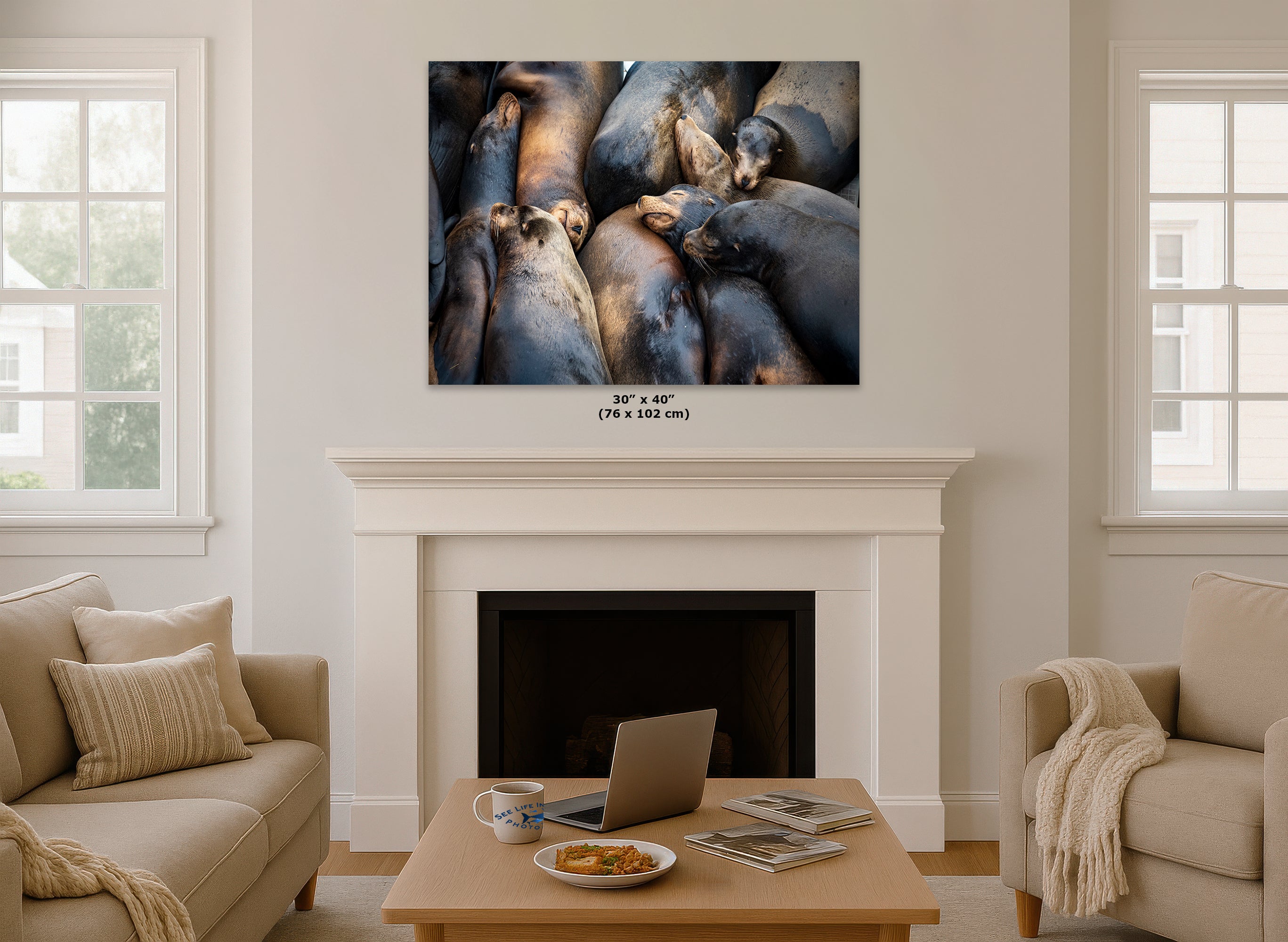 California Sea Lion Marine Mammal Wildlife Photography, Ocean Animals Nursery Decor, Relaxation Artwork for Beach-Themed Rooms