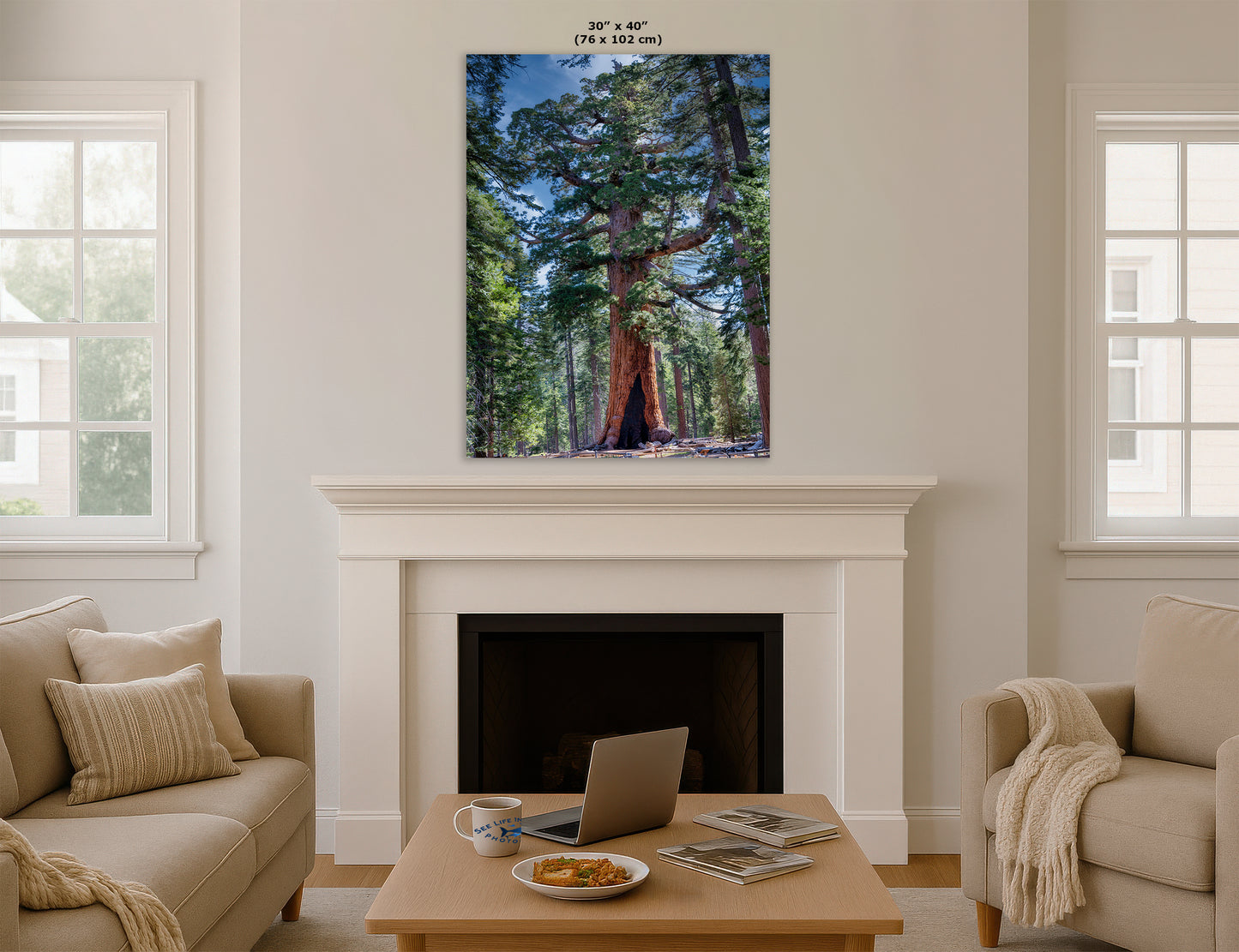 Giant Sequoia Tree Forest Picture Nature Photo, Yosemite Redwood Trees, Mariposa Grove Tree Hugger Decor, Forest Bathing for Relaxation
