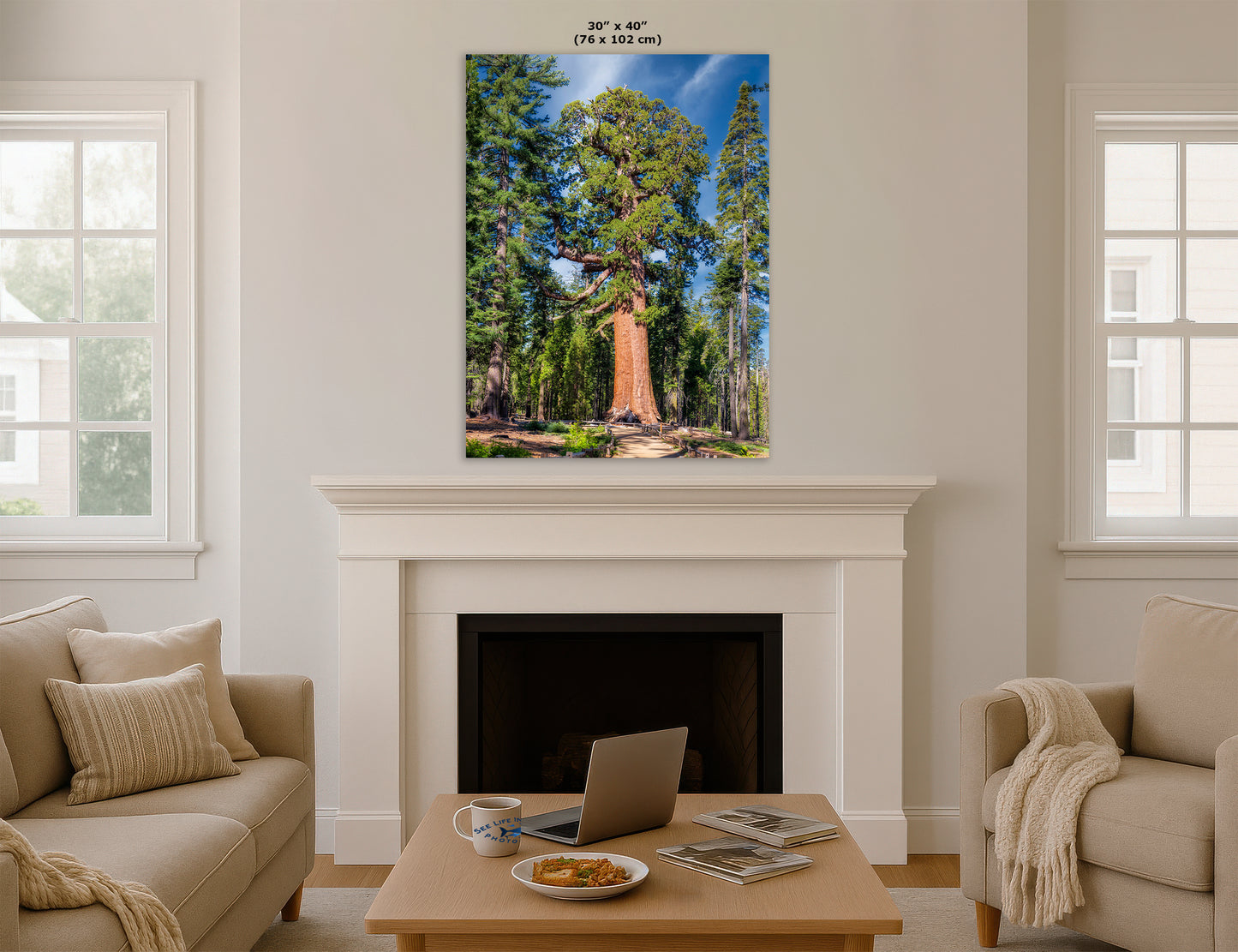 Giant Sequoia Tree Forest Picture Nature Photo, Yosemite Redwood Trees, Forest Bathing for Nature Lovers, House and Office