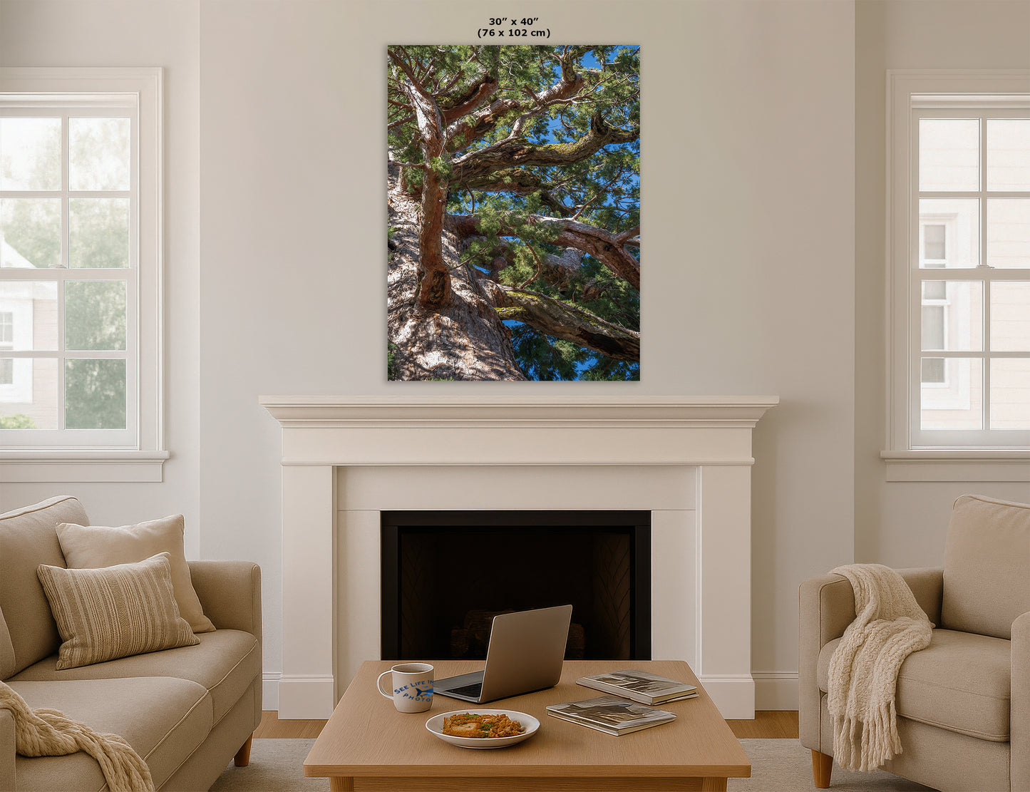 Giant Sequoia Tree Forest Picture Nature Photo, Yosemite Mariposa Grove Redwood Trees, Forest Bathing Relaxation Artwork for Nature Lovers