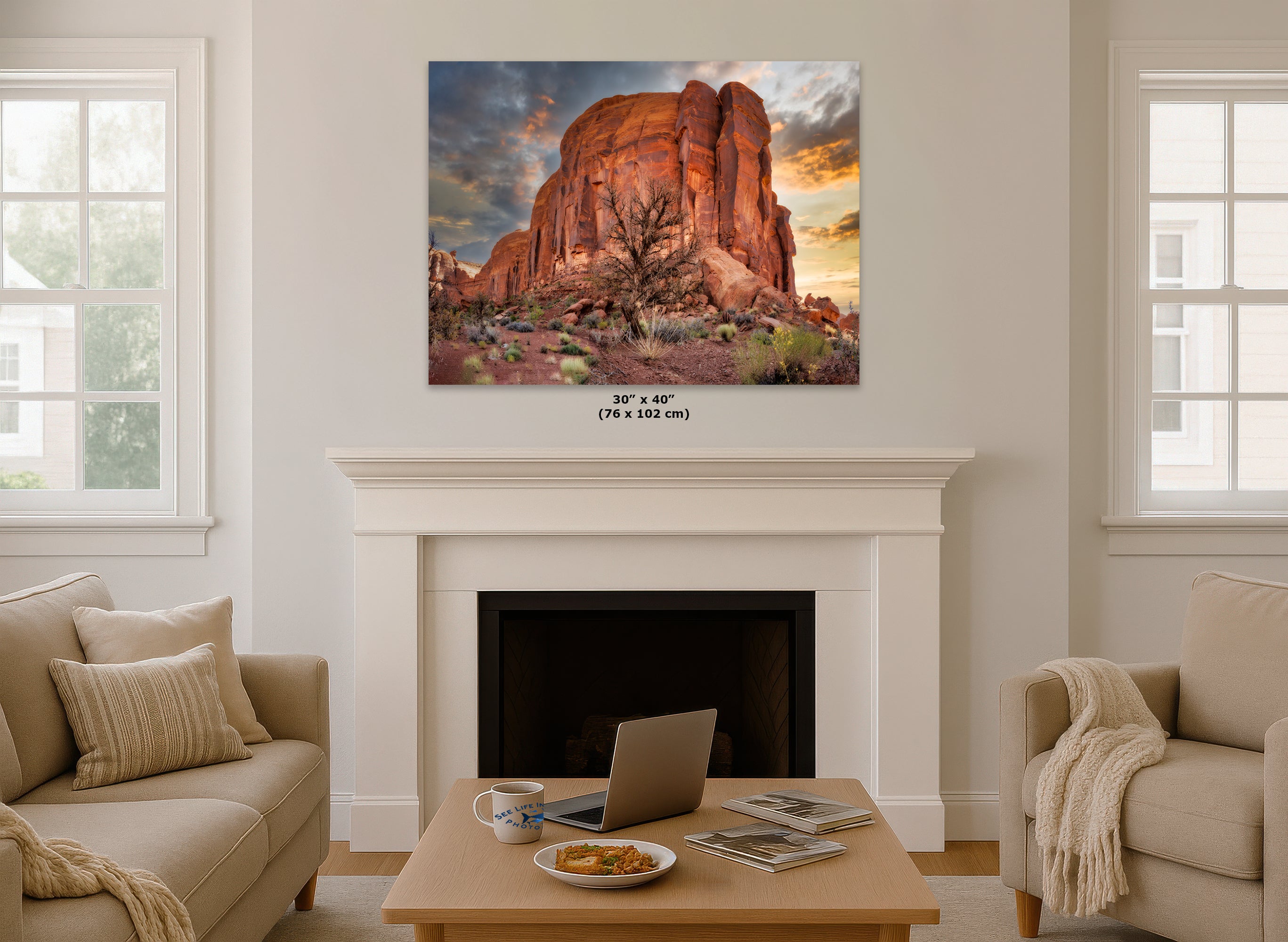 Monument Valley Arizona Desert Picture Cactus Nature Photo, Bohemian Style Relaxation Artwork for Meditation, Apartment, Office & House Decor