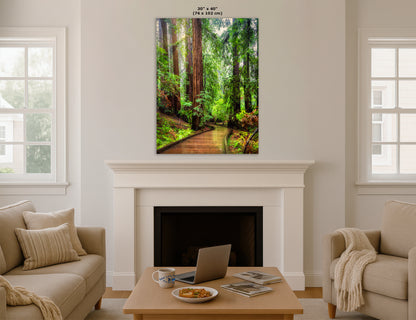 Redwood Trees Forest Picture Sunrise Nature Photo, Forest Bathing House Decor, Relaxing Wall Art for Meditation, Home and Office