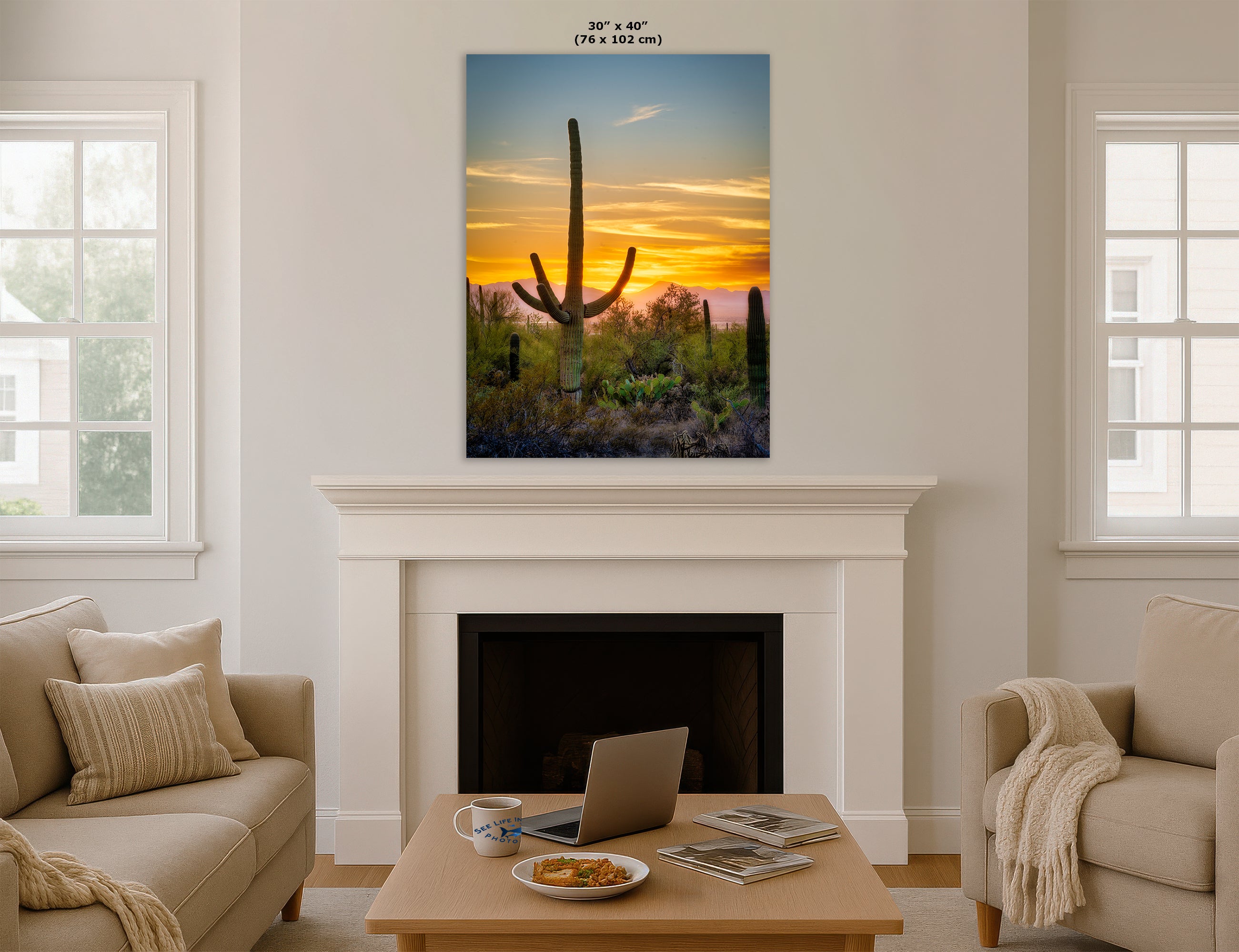 Saguaro National Park Arizona Desert Picture Nature Photo, Bohemian Style Relaxation Artwork, Southwestern Sonoran Desert House Decor