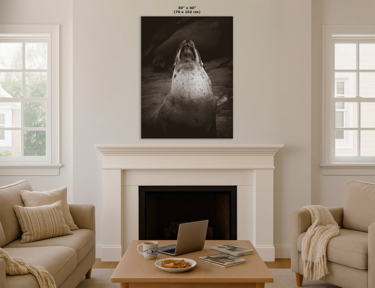 California Sea Lion Marine Mammal Wildlife Photography, Ocean Animals, Coastal House Decor, Nature Lover Gift, Marine Biology Artwork