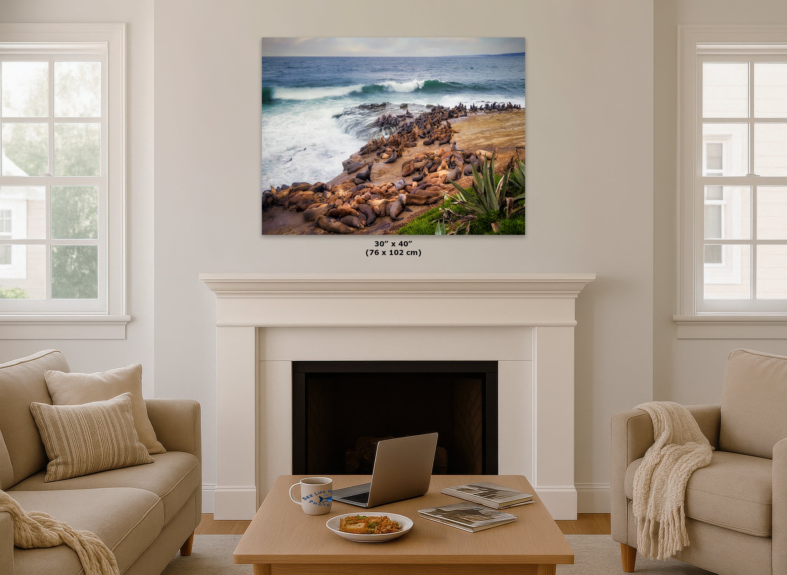California Sea Lion Marine Mammal Wildlife Photography | Calming Nature Ocean Picture, Relaxation Artwork, La Jolla Coast, Nature Photo