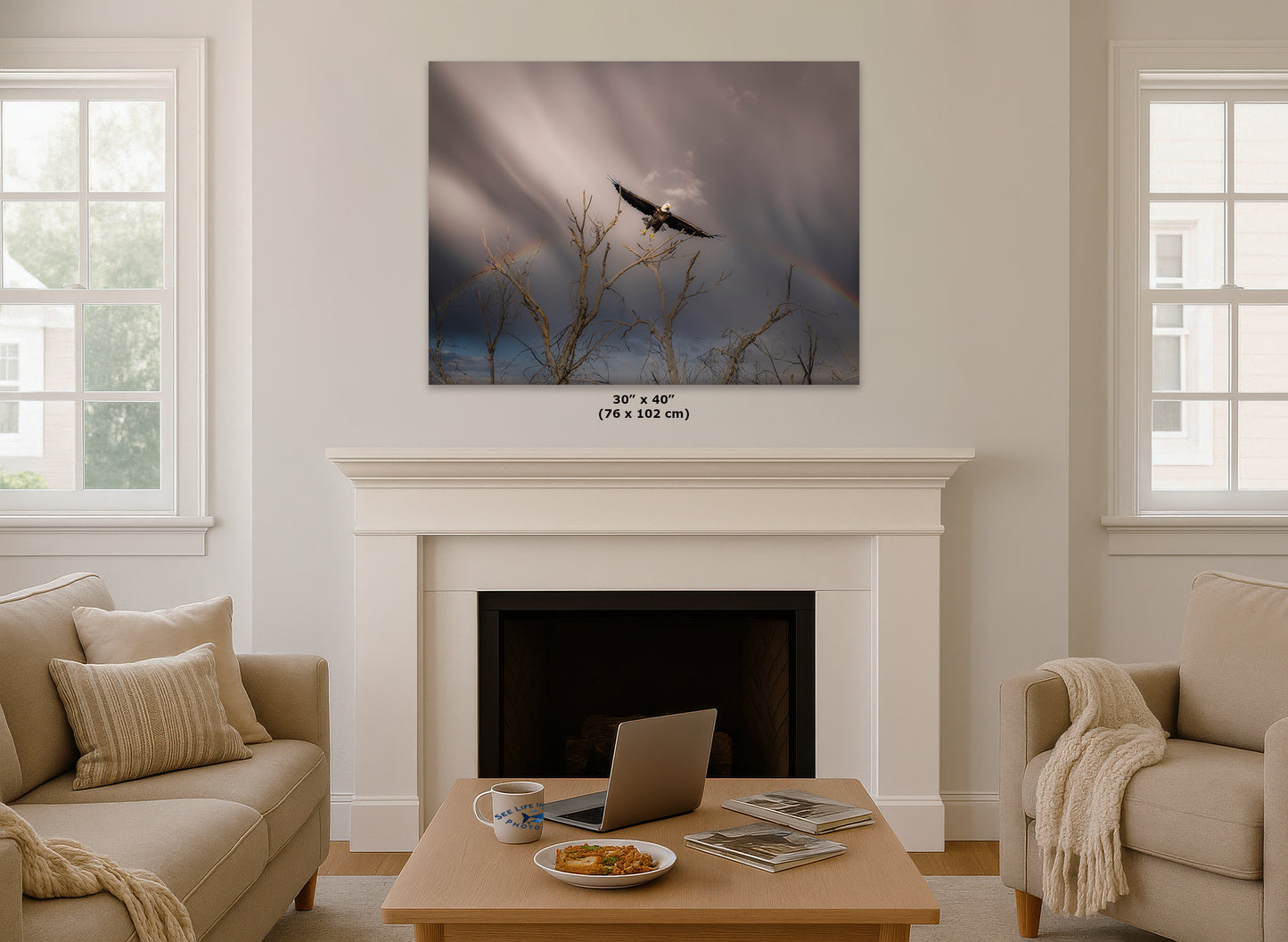 Soaring Bald Eagle Picture Wildlife Photography Wall Art, Nature Photo, Bird Photography, Rustic Cabin Decor, Office or Dorm Room Wall Decor
