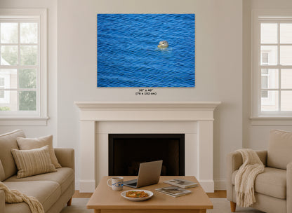 Seal Print Marine Mammal Wildlife Photography, Ocean Picture Relaxation Artwork Nature Photo