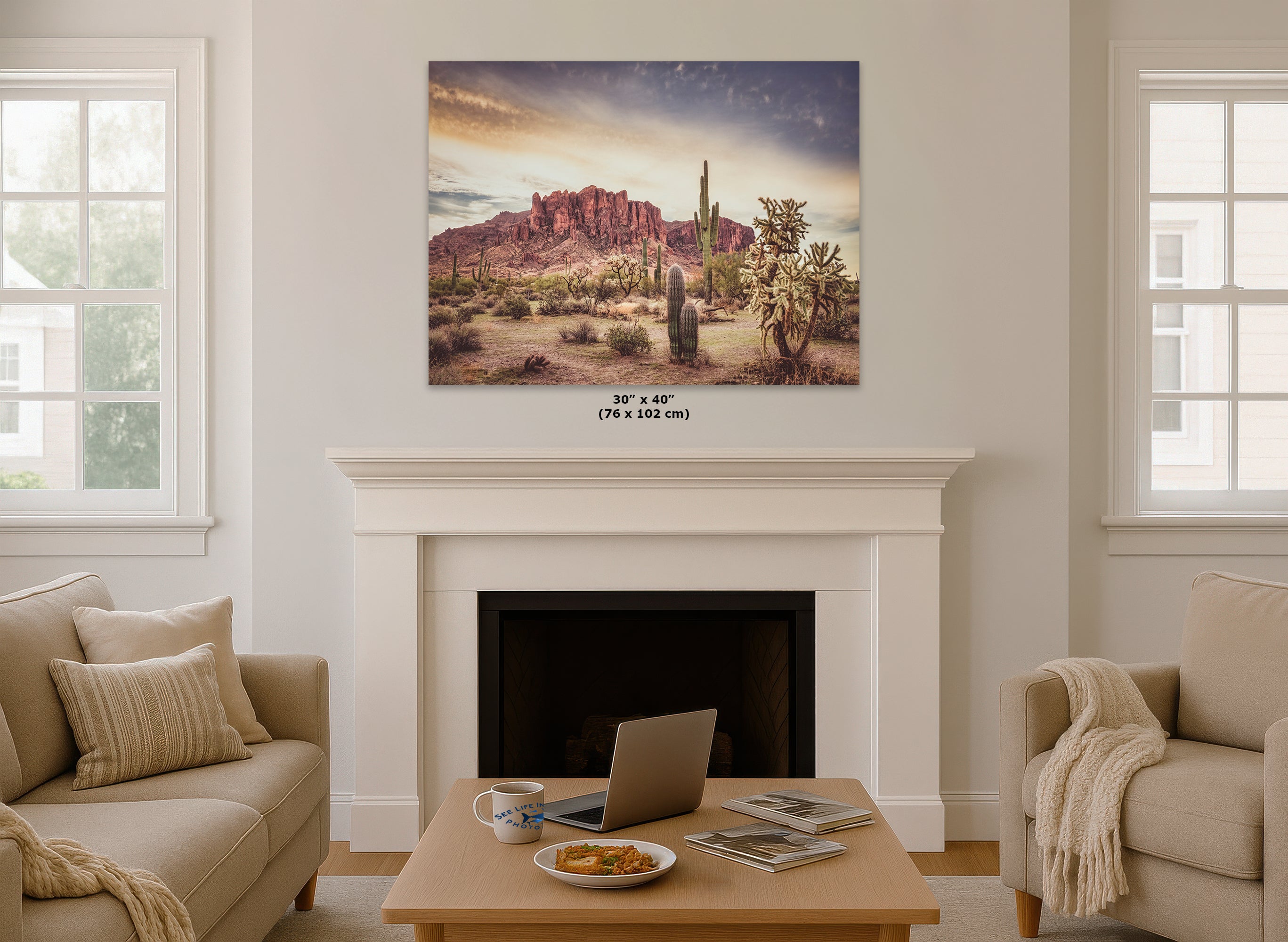 Arizona Desert Picture, Vintage Saguaro Cactus Artwork Nature Photo, Southwestern Wall Art of Superstition Mountains at Lost Dutchman State Park